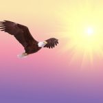 La renovación del águila